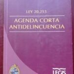 Agenda Corta Antidelincuencia, Ley 20.253
