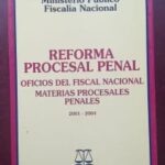 Reforma Procesal Penal, Materias Procesales