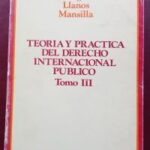 Teoría y Práctica del Derecho Internacional Público