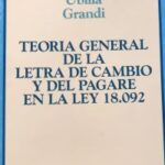 Teoría General de la Letra de Cambio y del Pagaré en la Ley 18.092