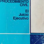 MANUAL DE PROCEDIMIENTO CIVIL