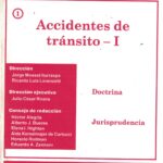 Revista de Derecho de Daños 1 - Accidentes de Tránsito I - Doctrina, Jurisprudencia