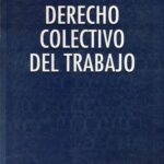 Derecho colectivo del trabajo