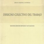 Derecho Colectivo del Trabajo - 2da Edición revisada y actualizada