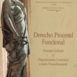 Derecho Procesal Funcional