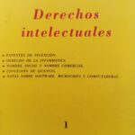 Derechos Intelectuales Tomo 1