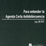 Para entender la Agenda Corta Antidelincuencia - Ley 20.931