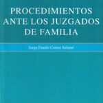 Procedimientos ante los Juzgados de familia