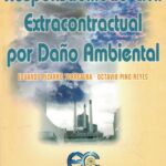 Responsabilidad Civil Extracontractual por Daño Ambiental