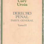 Derecho Penal Parte General - Tomo II