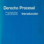 Derecho Procesal - Introducción