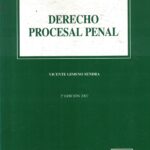 Derecho Procesal Penal - 2a Edición