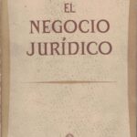 El Negocio Jurídico