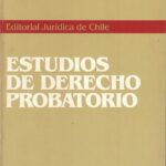 Estudios de Derecho Probatorio