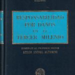Responsabilidad por Daños en el Tercer Mundo - Homenaje al Profesor Doctor Atilio Aníbal Alterini