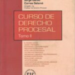 Curso de Derecho Procesal - Tomo II