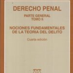 Derecho Penal, Parte General - Tomo II, 4a Edición