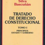 Tratado de Derecho Constitucional - Tomo I