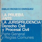 La Prueba ante la Jurisprudencia, Derecho Civil y Procesal Civil – Parte General y Reglas Comunes 2a Edición