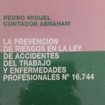 LA PREVENCIÓN DE RIESGOS EN LA LEY DE ACCIDENTE DEL TRABAJO Y EMFERMEDADES PROFESIONALES N* 16.744