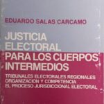 JUSTICIA ELECTORAL PARA LOS CUERPOS INTERMEDIOS