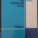 CURSO DE DERECHO CIVIL Tomo I