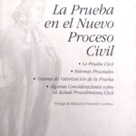 LA PRUEBA EN EL NUEVO PROCESO CIVIL