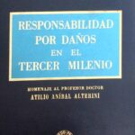 Responsabilidad por Daños en el Tercer Milenio