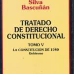 TRATADO DE DERECHO CONSTITUCIONAL - Tomo V