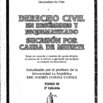 DERECHO CIVIL EN RESÚMENES Y ESQUEMATIZADO SUCESIÓN POR CAUSA DE MUERTE