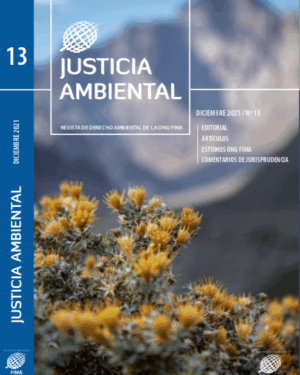 JUSTICIA AMBIENTAL