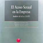 EL ACOSO SEXUAL EN LA EMPRESA - Análisis de la Ley 20.005