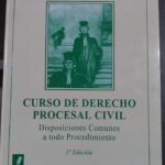 Curso de Derecho Procesal Civil, Disposiciones a Todo Procedimiento