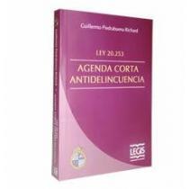 Ley 20.253: Agenda Corta Antidelincuencia.