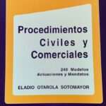 Procedimientos Civiles y Comerciales: 240 Modelos, Actuaciones y Mandatos