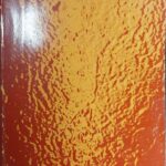 Revista de Derecho de MINAS . Vol.4
