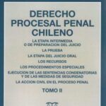 Derecho Procesal Penal Chileno. Tomo II