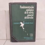 Fundamentación Egológica  de la Teoría General del Derecho