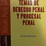 Temas de Derecho Penal y Procesal Penal