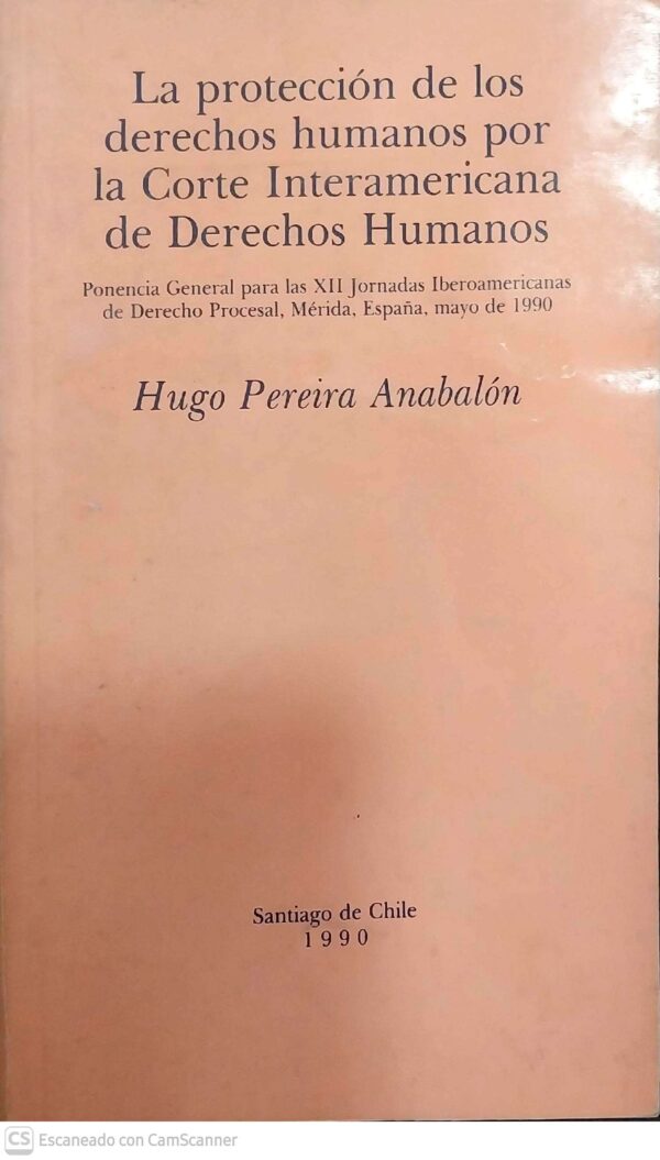 La protección de los derechos humanos por la corte interamericana de ...