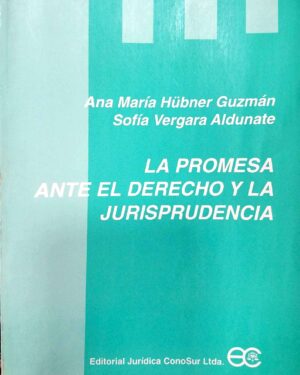 La Promesa ante el Derecho y la Jurisprudencia
