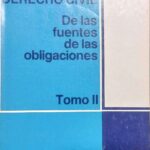 MANUAL DE DERECHO CIVIL- De las Fuentes de las Obligaciones - Tomo II