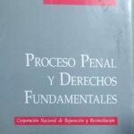 Proceso Penal y Derechos Fundamentales