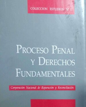 Proceso Penal y Derechos Fundamentales