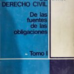 Manual de Derecho Civil : De las Fuentes de las Obligaciones, Tomo I