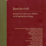 JUSTICIA CIVIL: Perspectivas para una reforma en la legislación chilena