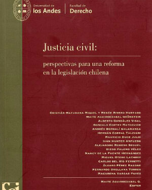 JUSTICIA CIVIL: Perspectivas para una reforma en la legislación chilena