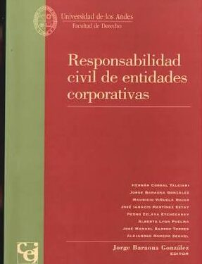Responsabilidad civil de entidades corporativas