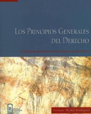 Principios Generales del Derecho en Chile