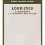 LOS BIENES